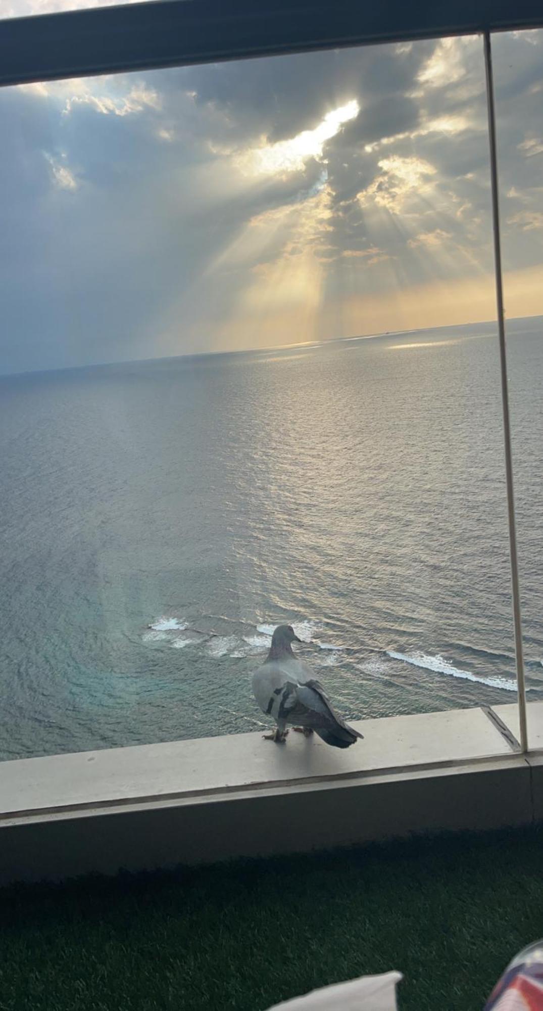 برج داماك Jeddah